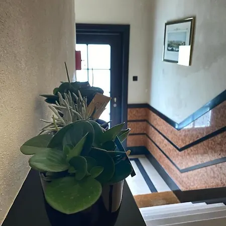 #macleod2 Apartament